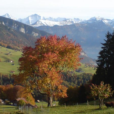 Hotel Rothorn Vintage-Style Sigriswil Exteriör bild